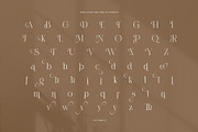 The Simple Elegant Serif Font, a Serif Font by Perfectype (Thumbnail 8 of 8)