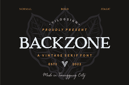 Backzone a Vintage Rustic Serif Font