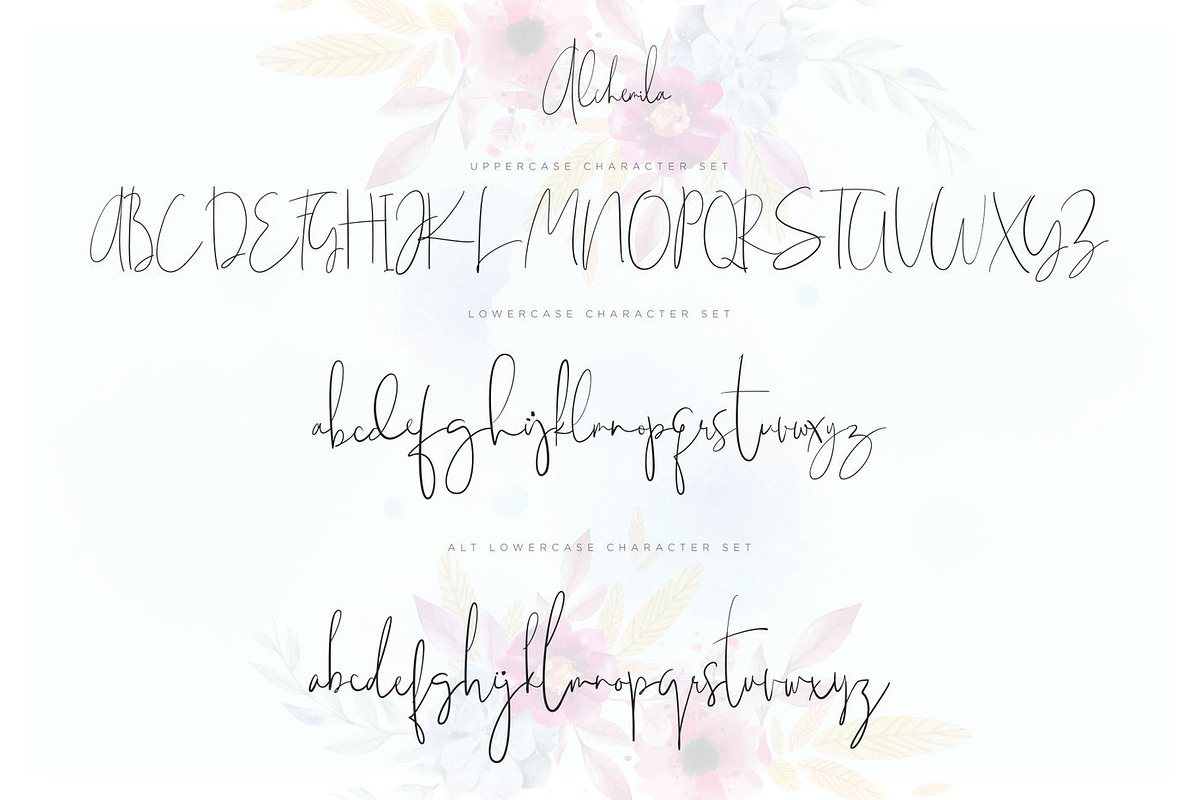 Wonderfull Font Collection, a Script Font by Chocotype Std (Photo 7 of 51)