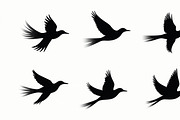 Flying Bird Silhouette Bundle, an Illustration by jahid234 (Thumbnail 4 of 10)
