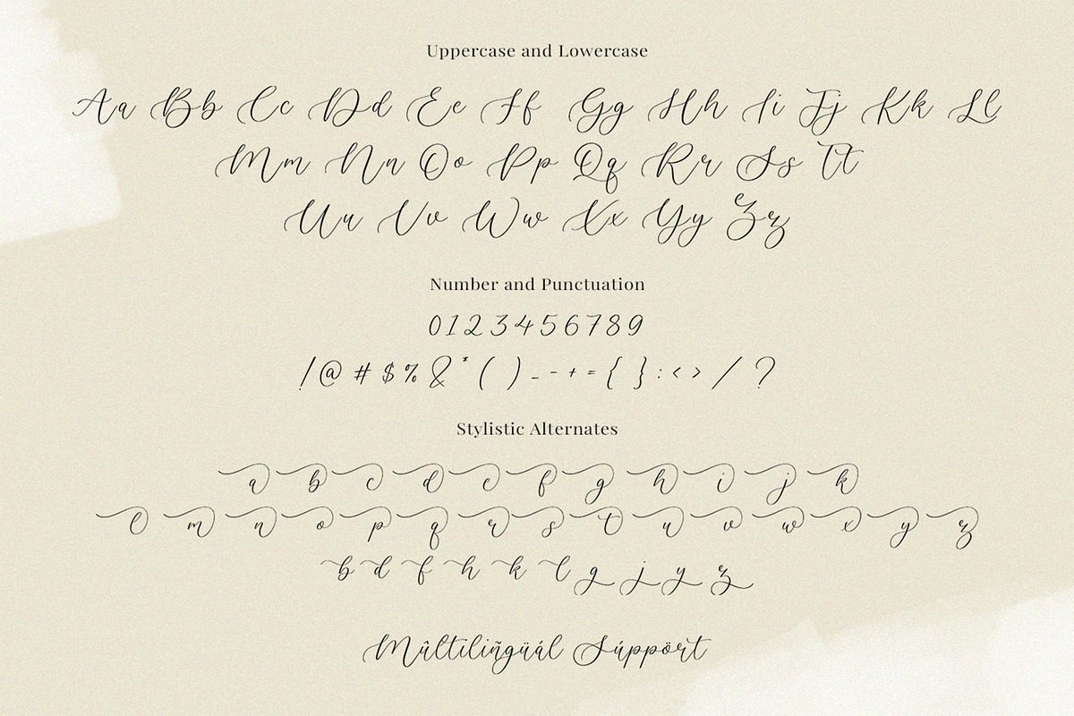 Baileyone - Stylish Script Font, a Script Font by Timurtype (Photo 6 of 7)