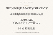 The Paloma - Modern Serif Font, a Serif Font by TypeFounder (Thumbnail 10 of 10)