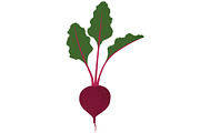 Vegetable garden. Vector., a Food Illustration by Paper Cards (Thumbnail 4 of 5)
