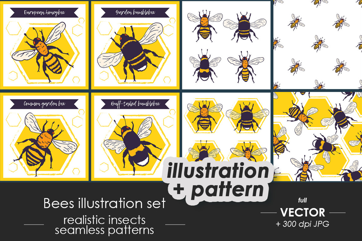 Bees set, illustrations + patterns, an Animal Illustration by OKart.studio (Photo 1 of 6)