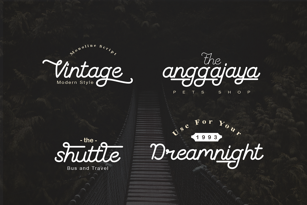 The Coventysh - Monoline Script Font, a Script Font by DiosiArt (Photo 4 of 11)