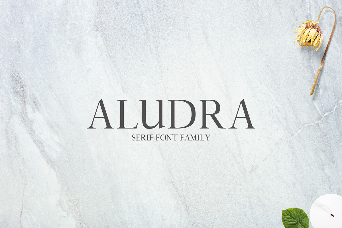 New Year SALE! - Serif Bundle! preview 7