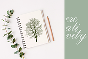 25+ trees without leaves, an Object Graphic by ОльгаМороз (Thumbnail 3 of 4)