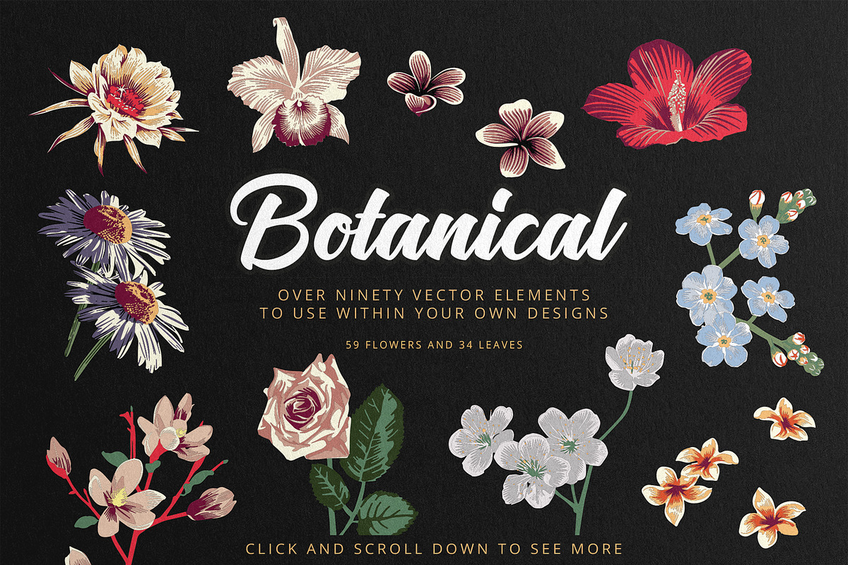 Botanical - Tropical Flowers, an Illustration by Sault Design (Photo 2 of 5)