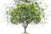 Nature Song Photoshop Action V01 preview 4
