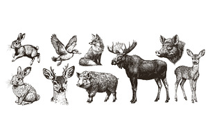 wild animals engraving. rabbit duck, an Animal Illustration by Stock-Smart-Start