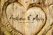 Scratched Brush Script Font, a Script Font by vectalex (Thumbnail 3 of 7)