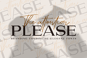 Attention l Combine with Extra Bonus, a Serif Font by Haksen (Thumbnail 1 of 11)