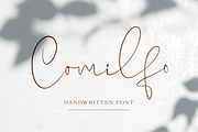 Comilfo, a Script Font by Larin Type Co. (Thumbnail 1 of 10)