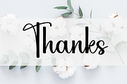 Shopia, a Handwritten Font by InermediaSTUDIO (Thumbnail 3 of 8)