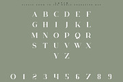 Huova Serif Typeface | 8 fonts, a Serif Font by VP Fonts (Thumbnail 8 of 10)