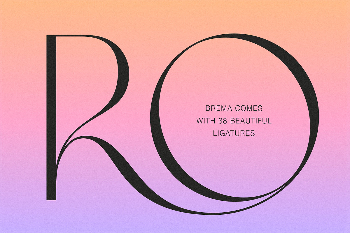 Brema Modern Sans, a Sans Serif Font by Andrey Sharonov (Photo 7 of 19)