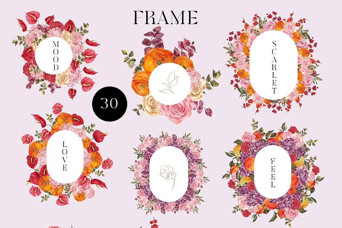 Blush Scarlet. Fall Graphic., an Object Illustration by ma_i_vi (Photo 7 of 11)