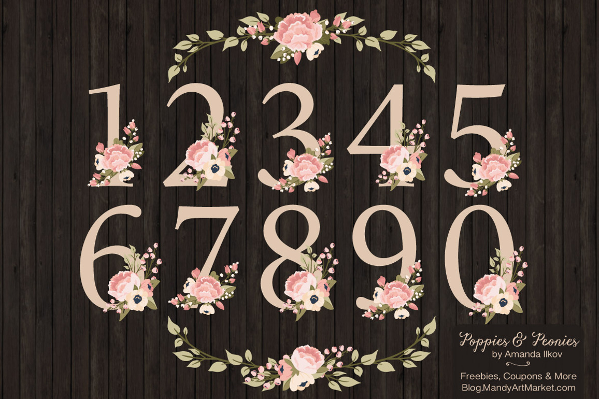 Navy & Blush Floral Numbers, an Illustration by Amanda Ilkov (Photo 2 of 5)