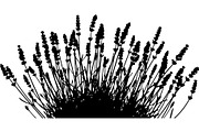 Lavender Flower Silhouette, an Object Graphic by Designer_Momina (Thumbnail 8 of 20)