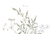 GRACE Floral Watercolor and Line art, a Decorative Illustration by Kreker Kate (Thumbnail 10 of 10)