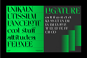 ELGISTA, a Serif Font by Bagerich Type Foundry (Thumbnail 7 of 13)