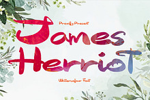 James Herriot Brush Font