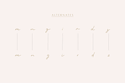 Monoline Boho | A Handwritten Script, a Handwritten Font by Vanem Studio (Thumbnail 8 of 11)