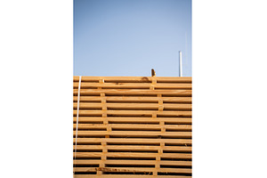 Industrial stack of sawn timber, an Industrial Photo by volodymyrshtun13795