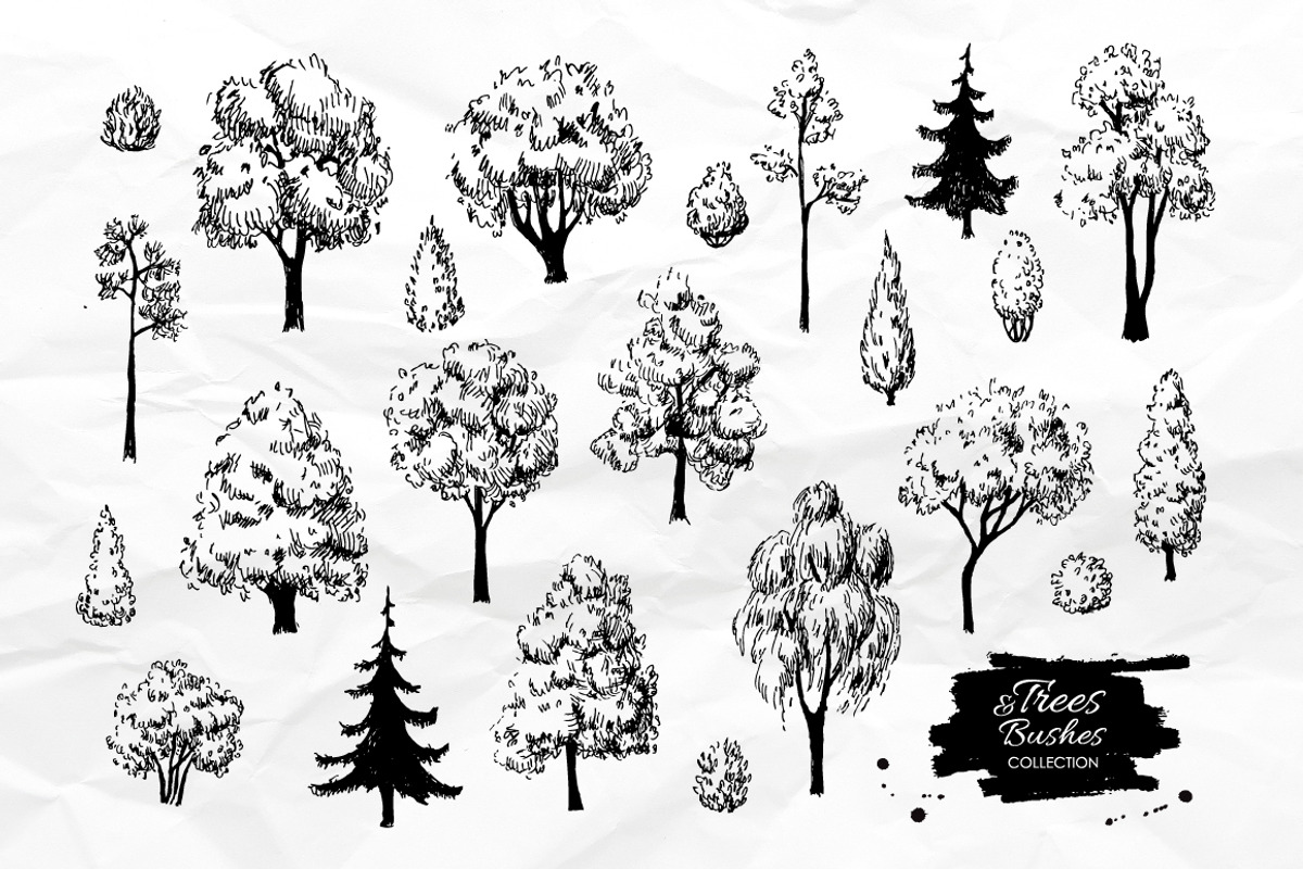 Sketch Set of Trees and Bushes., a Graphic by Epine (Photo 2 of 3)