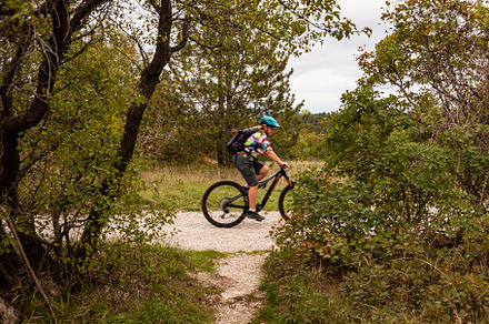 Mountain biker riding cycling in the autumn forest, a Sports & Recreation Photo by Bepslabor