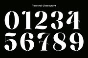 The Casfia - Elegant Serif Typeface, a Serif Font by Rotterlab Studio (Thumbnail 12 of 15)