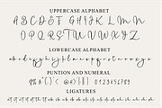 gratitude signature, a Script Font by Raffa Creative (Thumbnail 7 of 8)
