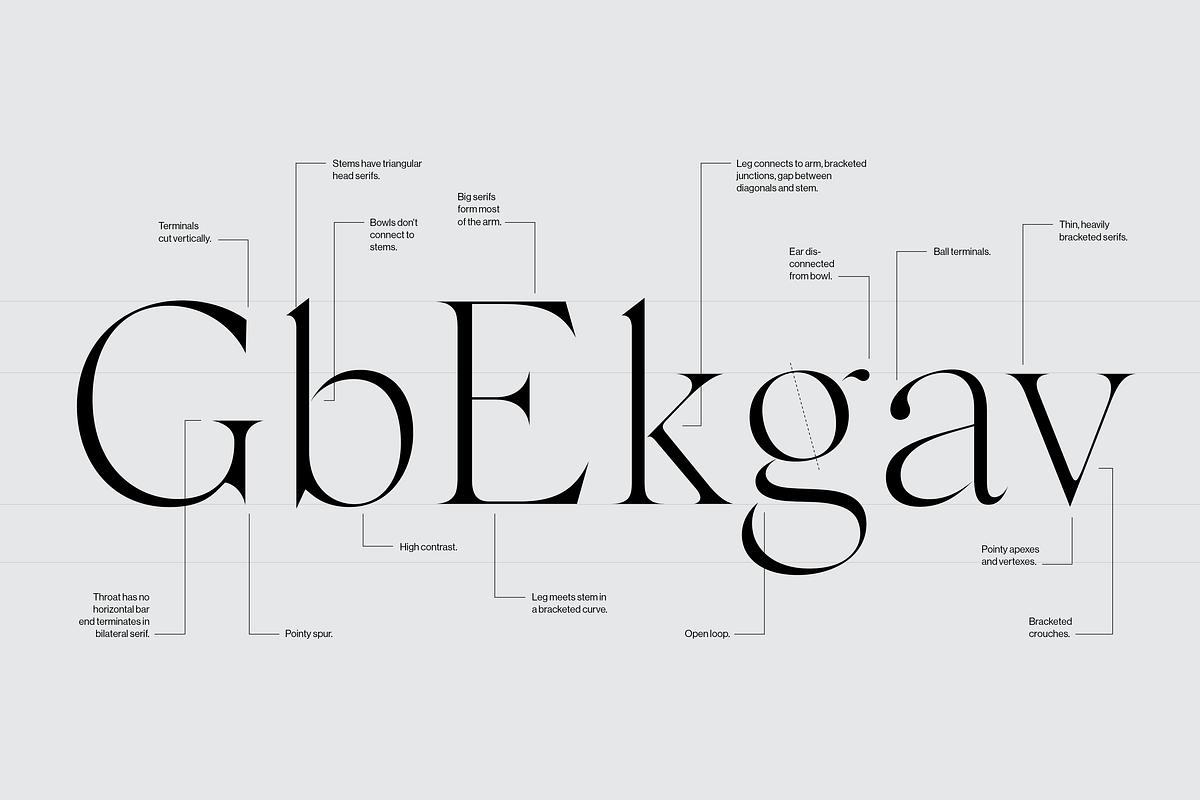 Silk Serif - 6 font family, a Serif Font by Silktype (Photo 7 of 8)