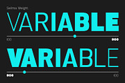 Selima, a Sans Serif Font by din-studio.com (Thumbnail 11 of 14)