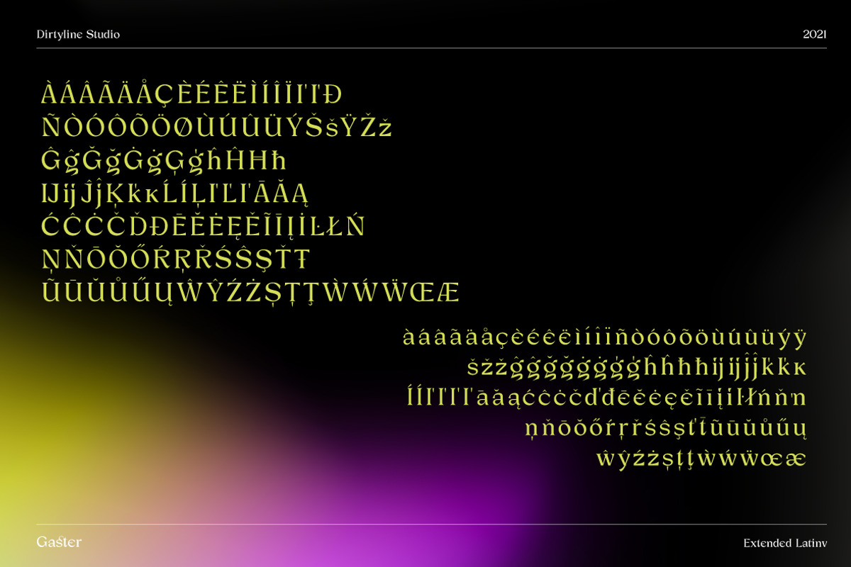 Dx Gaster + Italic, a Serif Font by Dirtyline Studio (Photo 10 of 11)
