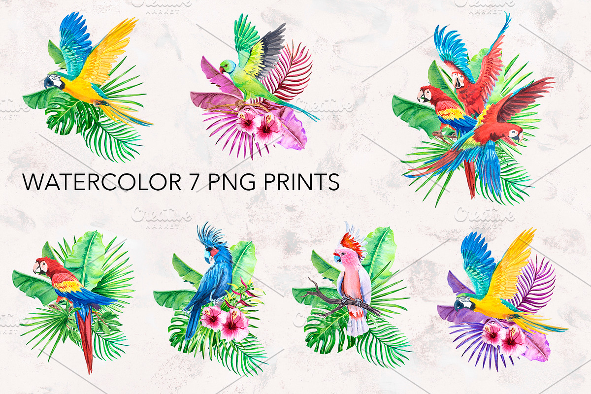 Parrots. Watercolor exotic BIRDS, an Illustration by lilisavelieva (Photo 4 of 5)