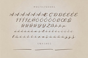 Agnolith - Signature Script Fonts, a Script Font by Patria Ari (P4tcreativa) (Thumbnail 9 of 10)