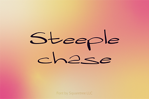 Steeplechase - Handwriting Font