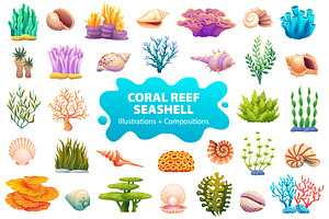 Coral Reef & Seashell Collection