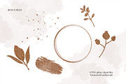 Isolated real flowers clipart set, an Object Graphic by The Graphic Parade (Thumbnail 9 of 14)
