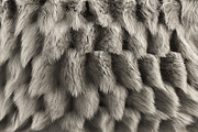 Collection of 38 fur pillows, an Object 3D Model by 3dmitruk (Thumbnail 103 of 112)