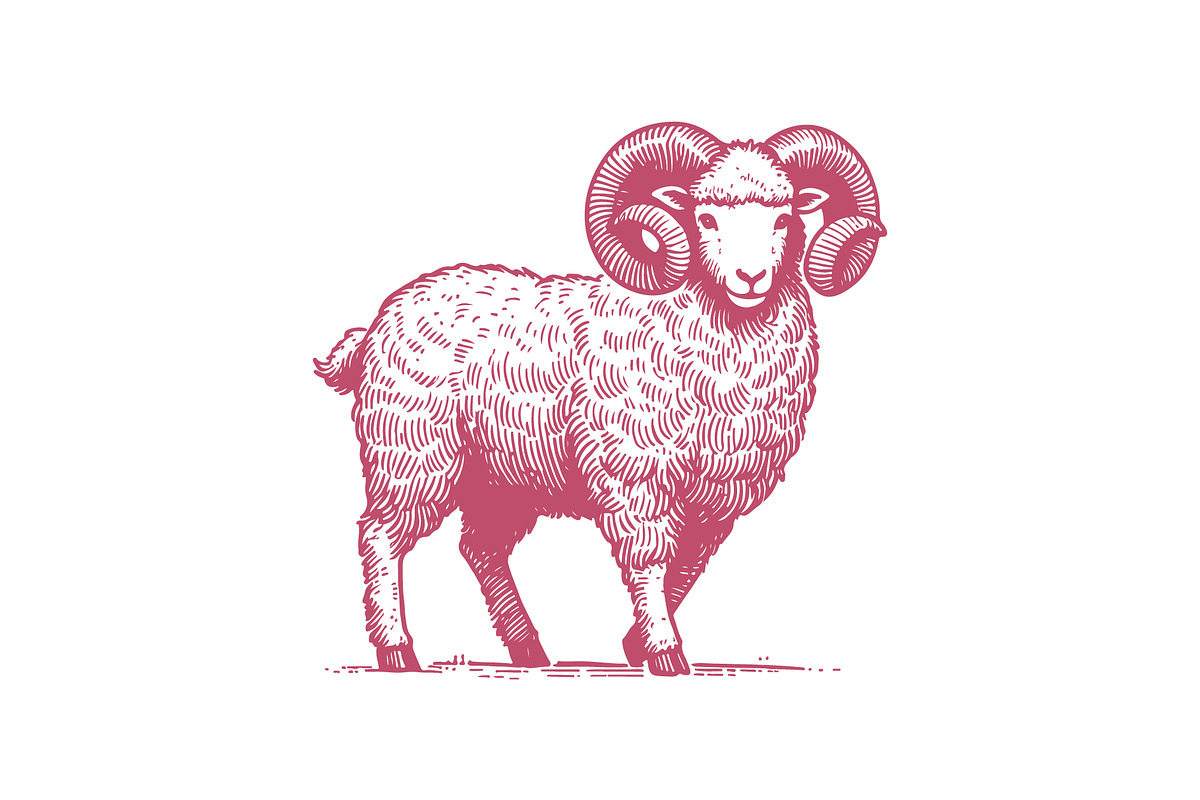 Elegant Vintage Ram Illustration, an Animal Illustration by MkStudio (Photo 2 of 3)
