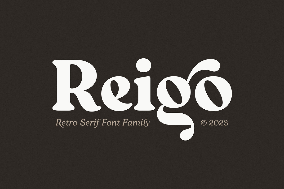 Reigo Complete Family, a Font by Digitype Studio (Photo 1 of 15)