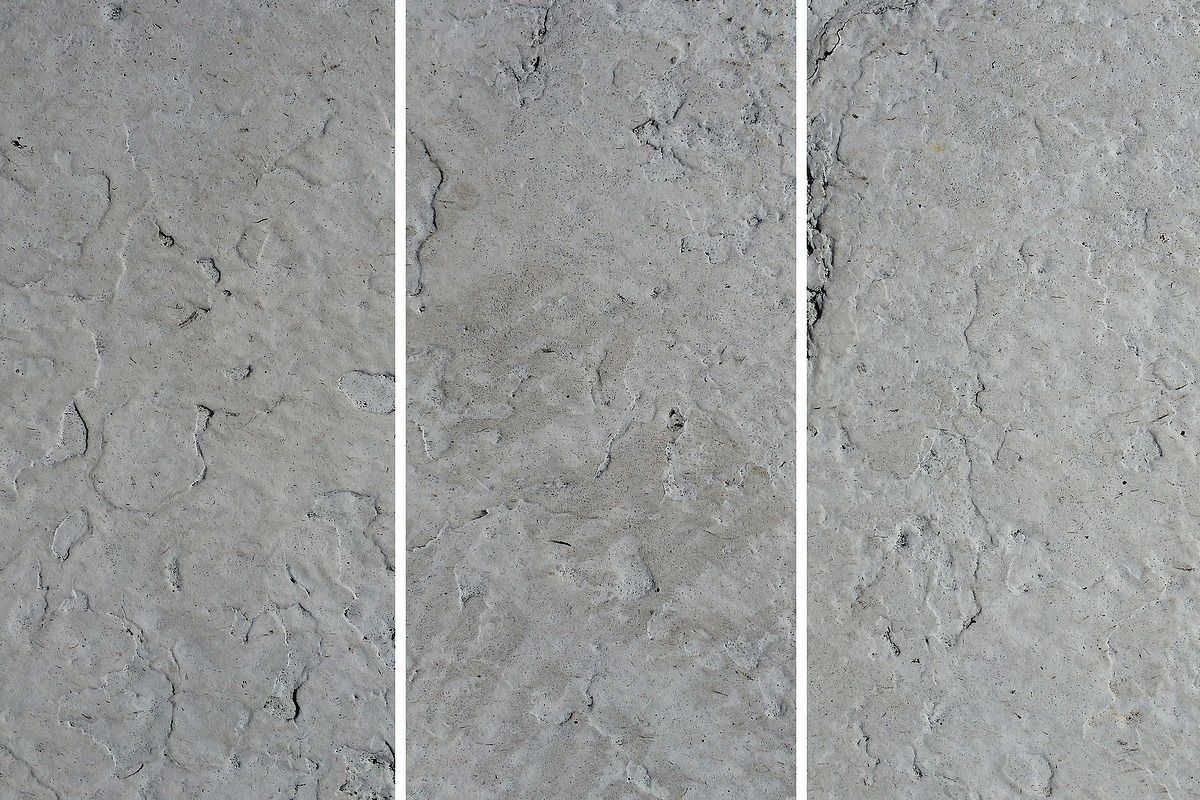 The Shop | Asphalt markings textures vol. 02 preview 2
