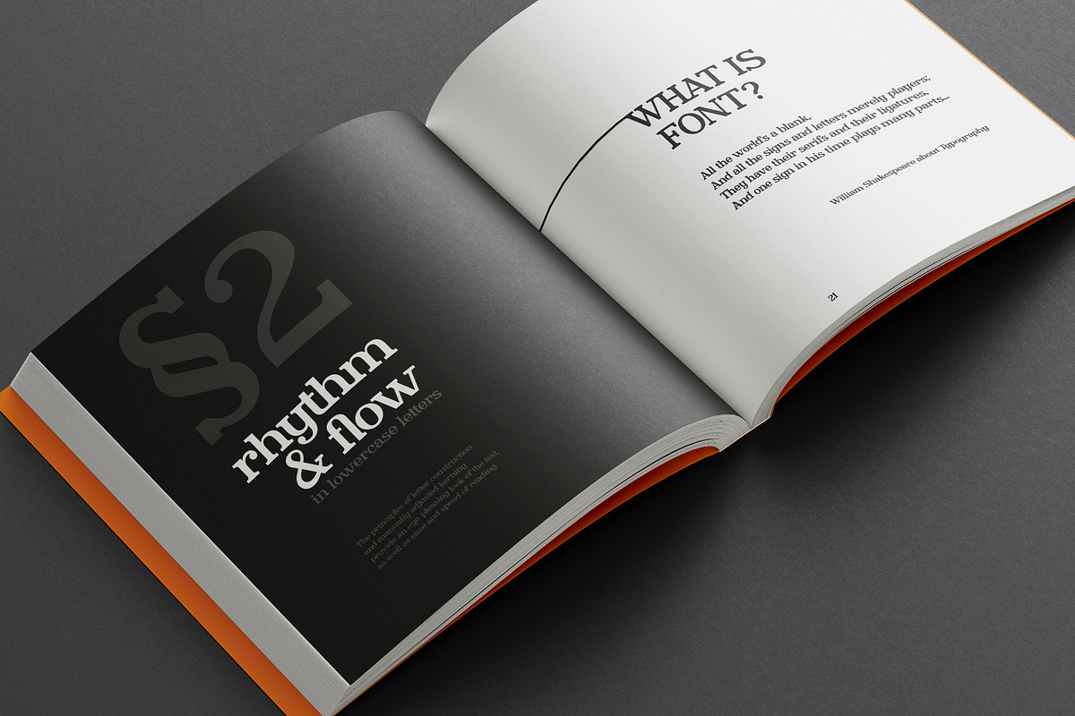 Brightfield Serif Font, a Serif Font by Cyritron (Photo 2 of 12)