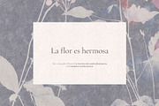 FLOR Seamless Patterns Collection, a Pattern Graphic by nkate (Thumbnail 5 of 13)