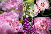 Garden Photo Set 31 pics preview 3