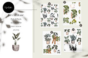 Potted Plant Pattern. Green home., a Pattern Graphic by ma_i_vi (Thumbnail 1 of 13)