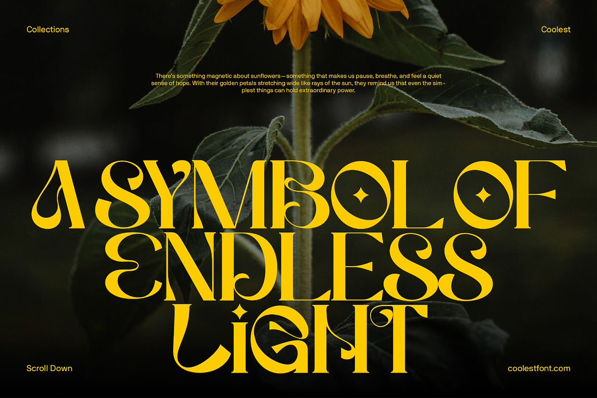 Wave Maska Font | Decorative Display, a Serif Font by Koplexs Studio (Photo 3 of 12)