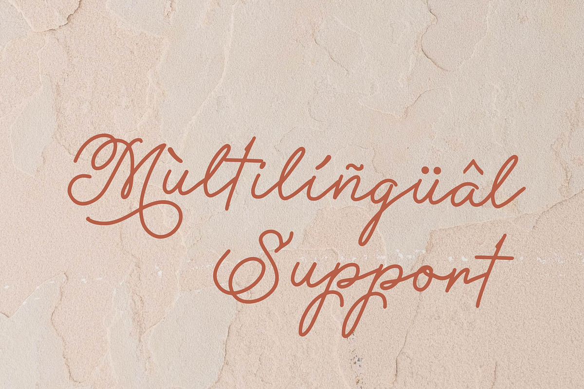 Methamory | Monoline Script Font, a Script Font by Denustudios (Photo 14 of 15)